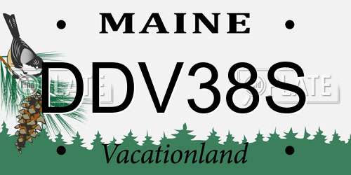 DDV38S Maine License Plate
