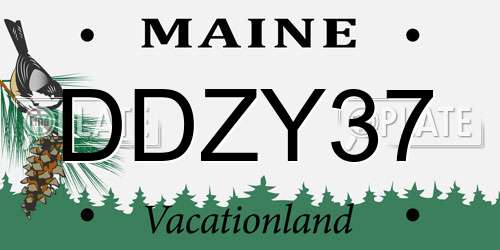 DDZY37 Maine License Plate