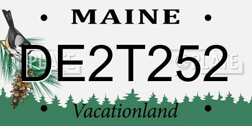 DE2T252 Maine License Plate