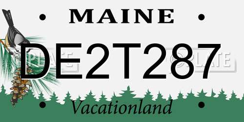 DE2T287 Maine License Plate