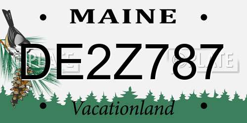 DE2Z787 Maine License Plate