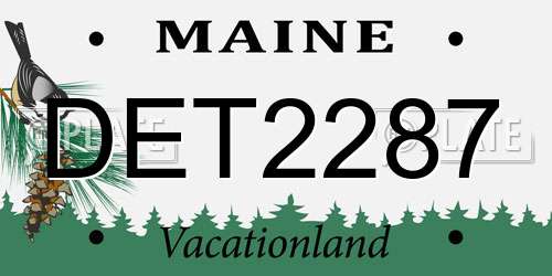DET2287 Maine License Plate