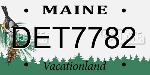 DET7782 Maine License Plate