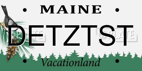 DETZTST Maine License Plate