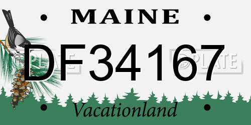 DF34167 Maine License Plate