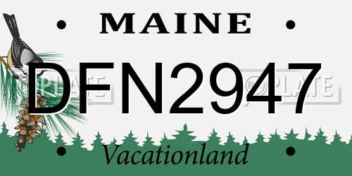 DFN2947 Maine License Plate