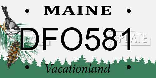 DFO581 Maine License Plate