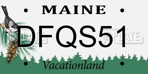 DFQS51 Maine License Plate