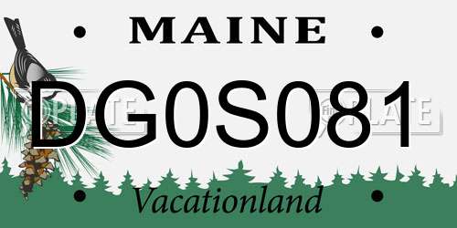 DG0S081 Maine License Plate