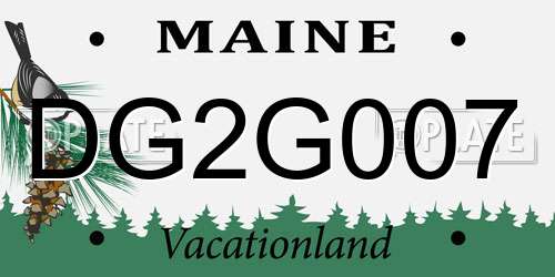DG2G007 Maine License Plate