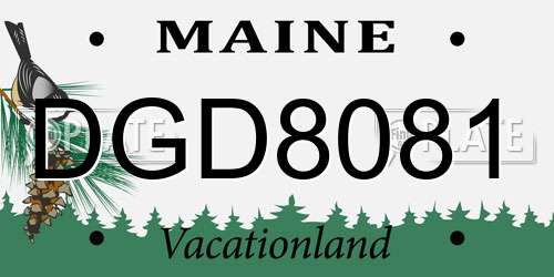 DGD8081 Maine License Plate