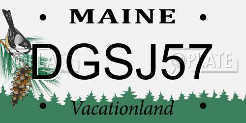 DGSJ57 Maine License Plate