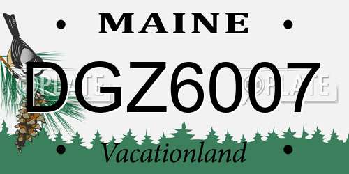 DGZ6007 Maine License Plate