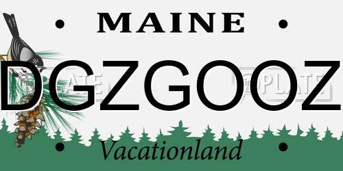 DGZGOOZ Maine License Plate
