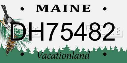 DH75482 Maine License Plate
