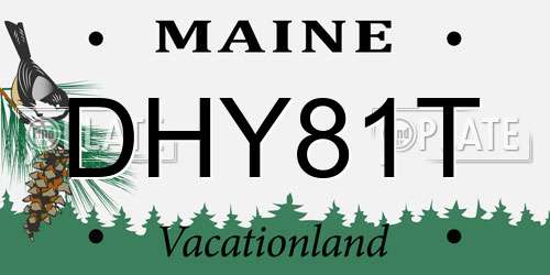 DHY81T Maine License Plate