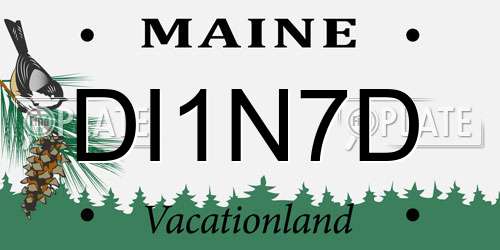 DI1N7D Maine License Plate