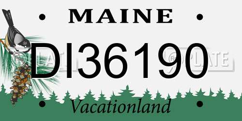 DI36190 Maine License Plate