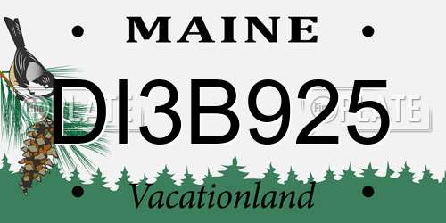 DI3B925 Maine License Plate