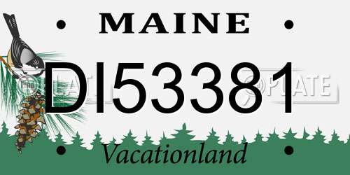 DI53381 Maine License Plate