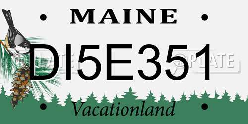 DI5E351 Maine License Plate