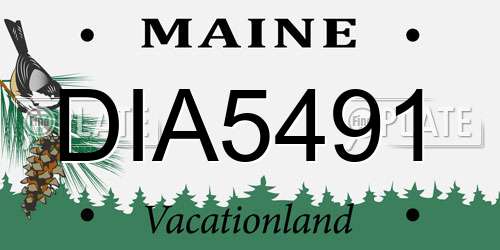 DIA5491 Maine License Plate