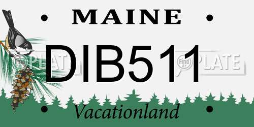 DIB511 Maine License Plate