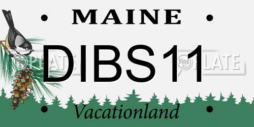 DIBS11 Maine License Plate