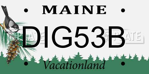 DIG53B Maine License Plate