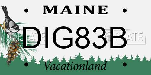 DIG83B Maine License Plate