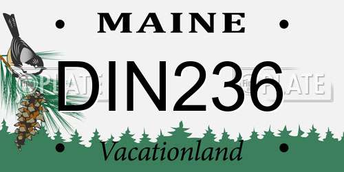 DIN236 Maine License Plate