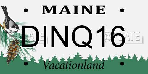 DINQ16 Maine License Plate