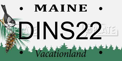 DINS22 Maine License Plate