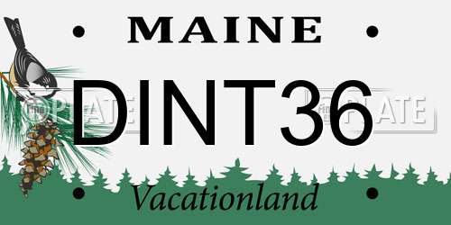 DINT36 Maine License Plate