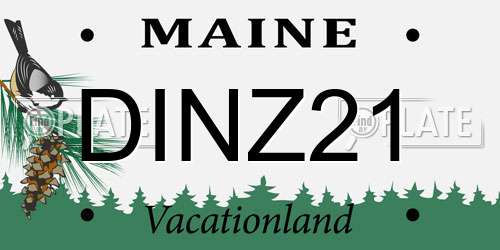 DINZ21 Maine License Plate