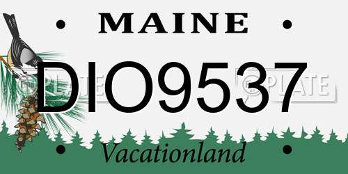 DIO9537 Maine License Plate
