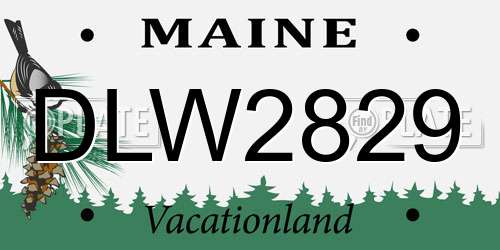 DLW2829 Maine License Plate