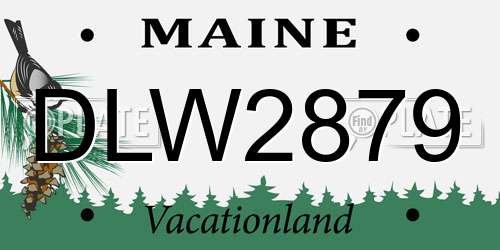 DLW2879 Maine License Plate