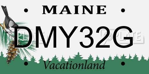 DMY32G Maine License Plate