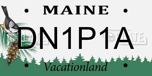 DN1P1A Maine License Plate