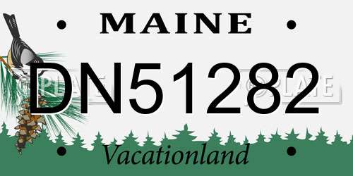 DN51282 Maine License Plate