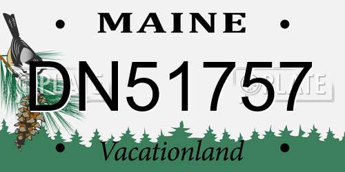 DN51757 Maine License Plate