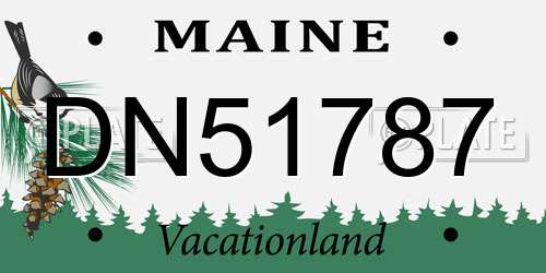 DN51787 Maine License Plate