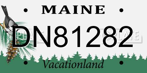 DN81282 Maine License Plate
