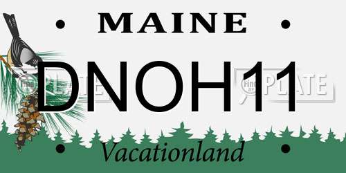 DNOH11 Maine License Plate