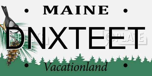 DNXTEET Maine License Plate