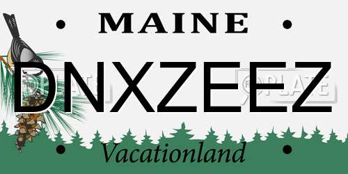 DNXZEEZ Maine License Plate