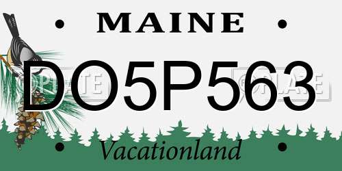 DO5P563 Maine License Plate