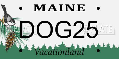 DOG25 Maine License Plate