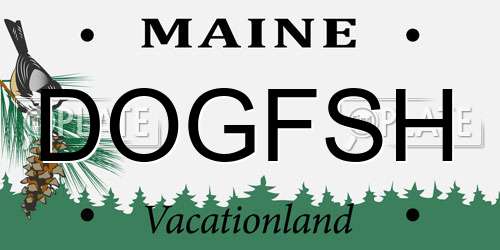 DOGFSH Maine License Plate